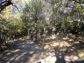 photo coins arrondis